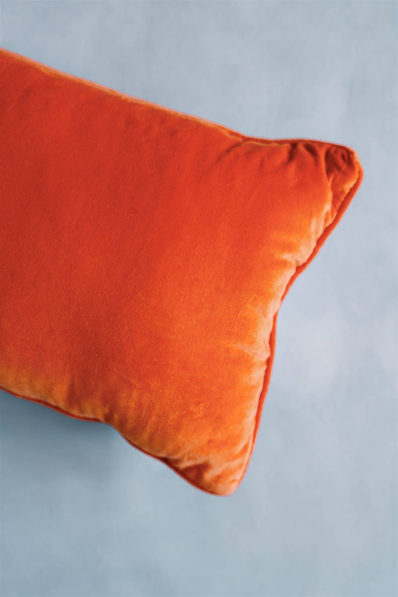 Gracefully Made Art Home Is Where the Eagle Flies Needlepoint Pillow | Auburn University Licensed